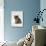Domestic Cat, 4-Weeks, Silver Tortoiseshell Kitten-Jane Burton-Photographic Print displayed on a wall