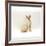 Domestic Cat, 6-Month Red-Point Si-Rex Male-Jane Burton-Framed Photographic Print