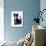 Domestic Cat, 6-Week, Black-And-White Kitten-Jane Burton-Photographic Print displayed on a wall