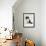 Domestic Cat, 8-Week, Black Bicolour Persian Kitten-Jane Burton-Framed Photographic Print displayed on a wall