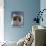 Domestic Cat, 8-Week, Fluffy Tortoiseshell-And-White Kitten-Jane Burton-Photographic Print displayed on a wall