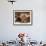 Domestic Cat, 8-Week, Portrait of Red Persian-Cross Male Kitten, Playing Under Fringed Cover-Jane Burton-Framed Photographic Print displayed on a wall