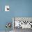 Domestic Cat, 8-Week, Silver Tortoiseshell Kitten-Jane Burton-Premium Photographic Print displayed on a wall