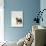 Domestic Cat, 8-Week, Silver Tortoiseshell Kitten-Jane Burton-Photographic Print displayed on a wall