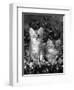 Domestic Cat, 8-Week, Two Fluffy Silver Tabby Kittens Amongst Winter-Flowering Pansies-Jane Burton-Framed Premium Photographic Print