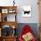 Domestic Cat, 9-Week Black Kitten Profile Walking-Jane Burton-Photographic Print displayed on a wall
