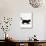 Domestic Cat, 9-Week Black Kitten Profile Walking-Jane Burton-Photographic Print displayed on a wall