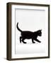 Domestic Cat, 9-Week Black Kitten Profile Walking-Jane Burton-Framed Photographic Print