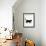 Domestic Cat, 9-Week Black Kitten Profile Walking-Jane Burton-Framed Photographic Print displayed on a wall