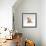 Domestic Cat, 9-Week Kitten Looking up from Grooming-Jane Burton-Framed Photographic Print displayed on a wall