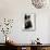 Domestic Cat, 9-Week Non-Pedigree Longhair Tortoiseshell-And-White Kitten-Jane Burton-Mounted Photographic Print displayed on a wall
