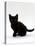 Domestic Cat, 9-Weeks, Black Shorthair Kitten-Jane Burton-Stretched Canvas