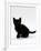 Domestic Cat, 9-Weeks, Black Shorthair Kitten-Jane Burton-Framed Photographic Print