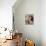 Domestic Cat, Amber-Eyed and Blue-Eyed White Kittens in a Large Teacup with Bowl of Roses-Jane Burton-Photographic Print displayed on a wall