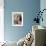 Domestic Cat, Amber-Eyed and Blue-Eyed White Kittens in a Large Teacup with Bowl of Roses-Jane Burton-Framed Photographic Print displayed on a wall