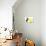 Domestic Cat, Asian, kitten, playing with tennis ball-Chris Brignell-Photographic Print displayed on a wall