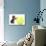 Domestic Cat, Asian, kitten, playing with tennis ball-Chris Brignell-Photographic Print displayed on a wall