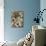 Domestic Cat, Birman Kittens in Wicker-Basket Among Dasies-Jane Burton-Mounted Photographic Print displayed on a wall