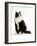 Domestic Cat, Black and White Male-Jane Burton-Framed Photographic Print