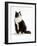 Domestic Cat, Black and White Male-Jane Burton-Framed Photographic Print