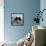 Domestic Cat, Black-And-White Semi-Longhaired Kitten in Blue Pullover-Jane Burton-Framed Stretched Canvas displayed on a wall