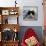 Domestic Cat, Black-And-White Semi-Longhaired Kitten in Blue Pullover-Jane Burton-Mounted Photographic Print displayed on a wall