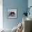 Domestic Cat, Black-And-White Semi-Longhaired Kitten in Blue Pullover-Jane Burton-Framed Photographic Print displayed on a wall