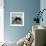 Domestic Cat, Black-And-White Semi-Longhaired Kitten in Blue Pullover-Jane Burton-Framed Photographic Print displayed on a wall