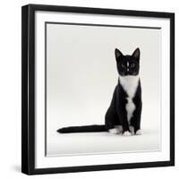 Domestic Cat, Black-And-White Smooth-Coated-Jane Burton-Framed Photographic Print