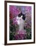 Domestic Cat, Black Bicolour Persian-Cross Kitten Among Rosebay Willowherb-Jane Burton-Framed Photographic Print