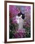 Domestic Cat, Black Bicolour Persian-Cross Kitten Among Rosebay Willowherb-Jane Burton-Framed Photographic Print