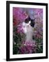 Domestic Cat, Black Bicolour Persian-Cross Kitten Among Rosebay Willowherb-Jane Burton-Framed Photographic Print