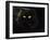 Domestic Cat, Black Persian Female at Night, Yellow Eyes Shining-Jane Burton-Framed Photographic Print