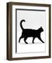 Domestic Cat, Black Short-Hair Male, Walking Profile-Jane Burton-Framed Premium Photographic Print
