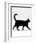 Domestic Cat, Black Short-Hair Male, Walking Profile-Jane Burton-Framed Premium Photographic Print