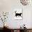 Domestic Cat, Black Short-Hair Male, Walking Profile-Jane Burton-Photographic Print displayed on a wall