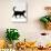 Domestic Cat, Black Short-Hair Male, Walking Profile-Jane Burton-Photographic Print displayed on a wall