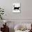 Domestic Cat, Black Short-Hair Male, Walking Profile-Jane Burton-Mounted Photographic Print displayed on a wall