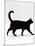 Domestic Cat, Black Short-Hair Male, Walking Profile-Jane Burton-Mounted Photographic Print