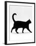 Domestic Cat, Black Short-Hair Male, Walking Profile-Jane Burton-Framed Photographic Print