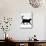 Domestic Cat, Black Short-Hair Male, Walking Profile-Jane Burton-Mounted Photographic Print displayed on a wall