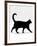 Domestic Cat, Black Short-Hair Male, Walking Profile-Jane Burton-Framed Photographic Print
