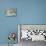 Domestic Cat, Blue Tabby Kitten-Jane Burton-Mounted Photographic Print displayed on a wall