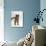 Domestic Cat, Brown Tabby Cat, Lashing Tail While Watching Something-Jane Burton-Photographic Print displayed on a wall