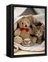 Domestic Cat, Brown Ticked Tabby Kitten, Under Blanket with Teddy Bear-Jane Burton-Framed Stretched Canvas