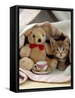 Domestic Cat, Brown Ticked Tabby Kitten, Under Blanket with Teddy Bear-Jane Burton-Framed Stretched Canvas