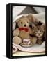 Domestic Cat, Brown Ticked Tabby Kitten, Under Blanket with Teddy Bear-Jane Burton-Framed Stretched Canvas