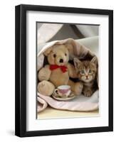 Domestic Cat, Brown Ticked Tabby Kitten, Under Blanket with Teddy Bear-Jane Burton-Framed Premium Photographic Print