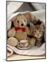 Domestic Cat, Brown Ticked Tabby Kitten, Under Blanket with Teddy Bear-Jane Burton-Mounted Premium Photographic Print