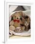 Domestic Cat, Brown Ticked Tabby Kitten, Under Blanket with Teddy Bear-Jane Burton-Framed Photographic Print